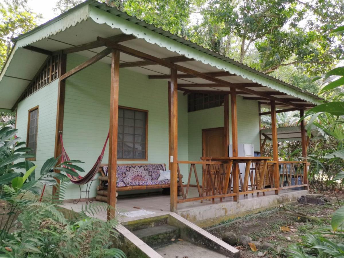 Luna Caribena Village Puerto Viejo de Talamanca Extérieur photo