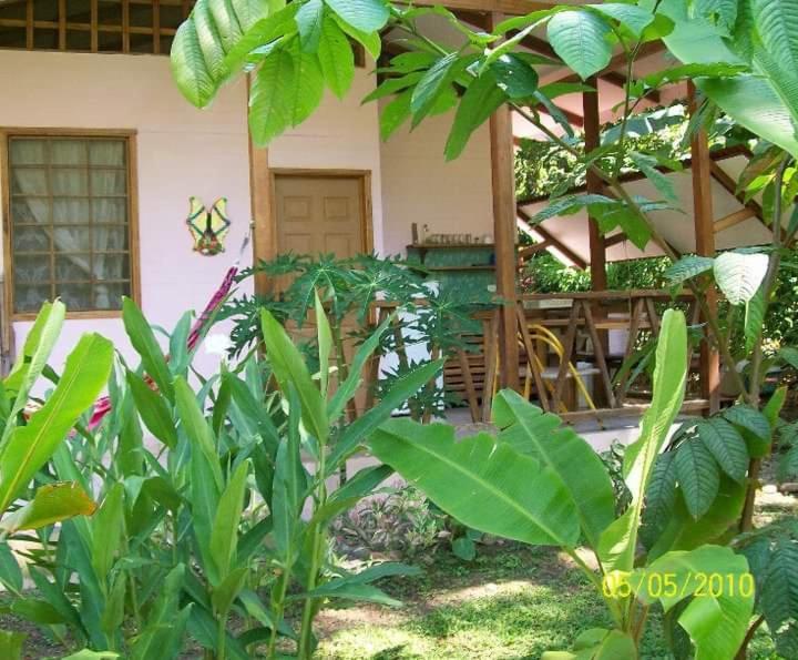 Luna Caribena Village Puerto Viejo de Talamanca Extérieur photo