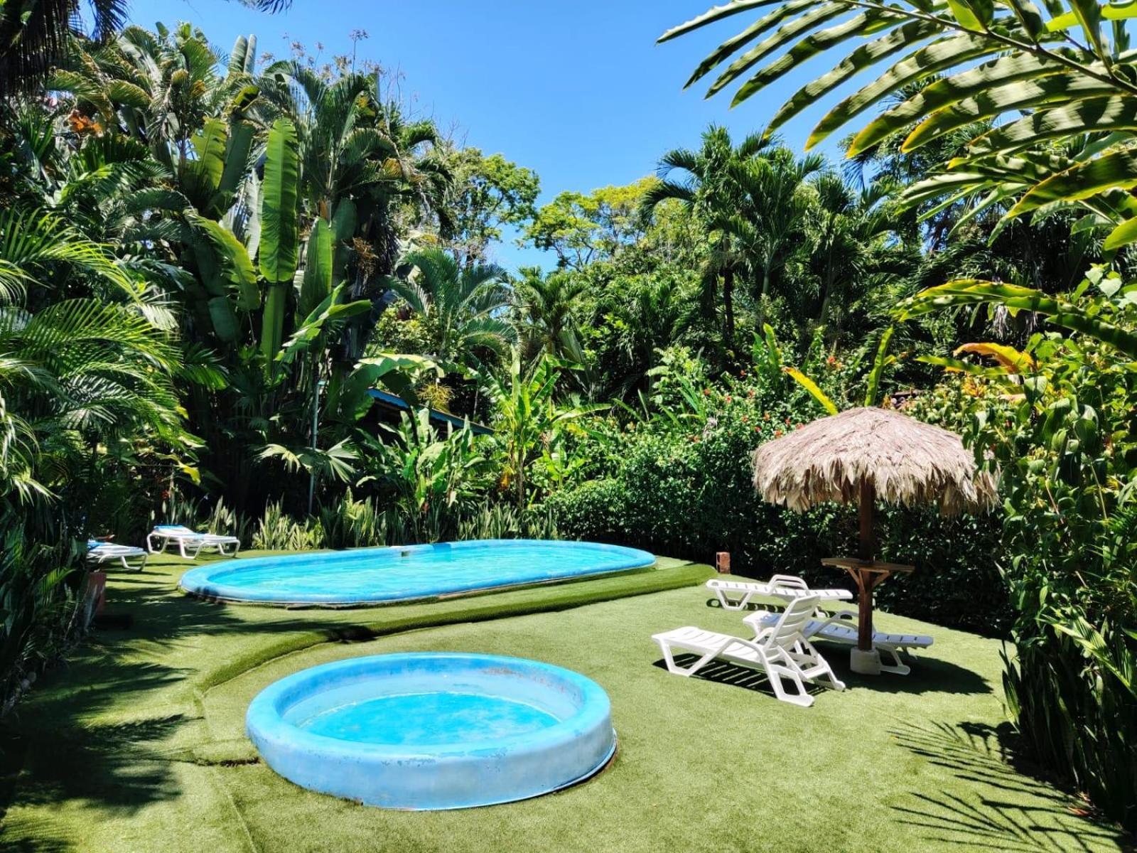 Luna Caribena Village Puerto Viejo de Talamanca Extérieur photo