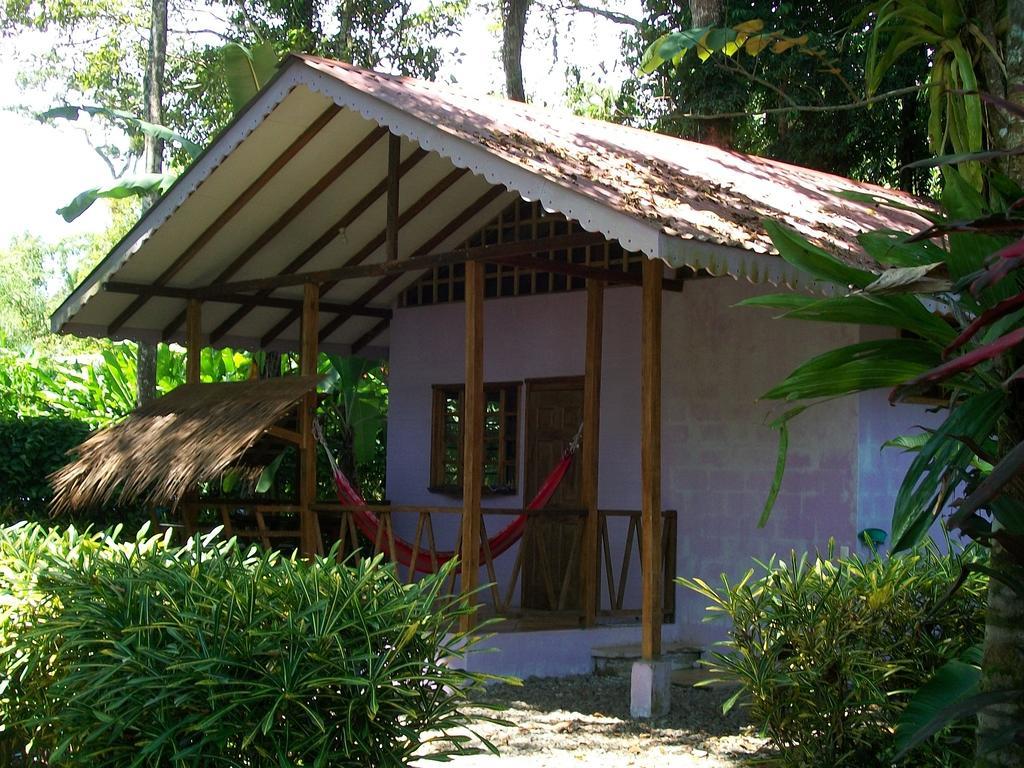 Luna Caribena Village Puerto Viejo de Talamanca Extérieur photo