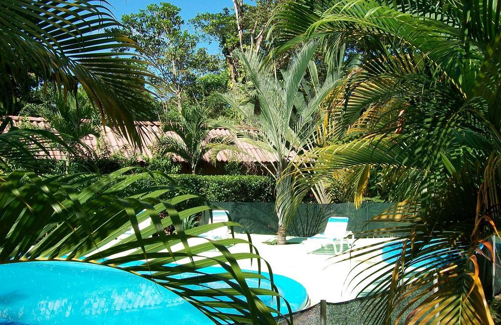 Luna Caribena Village Puerto Viejo de Talamanca Extérieur photo