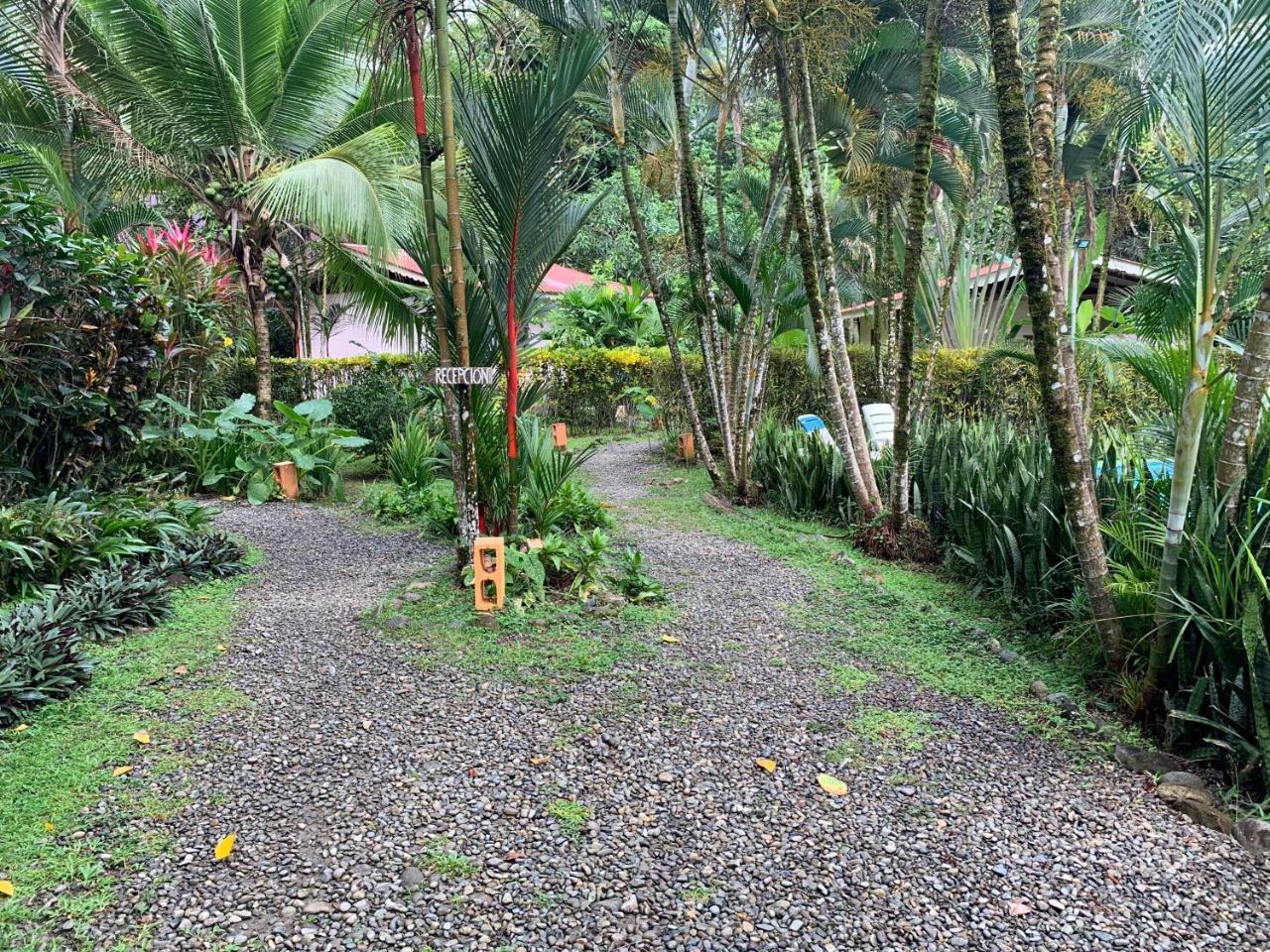Luna Caribena Village Puerto Viejo de Talamanca Extérieur photo