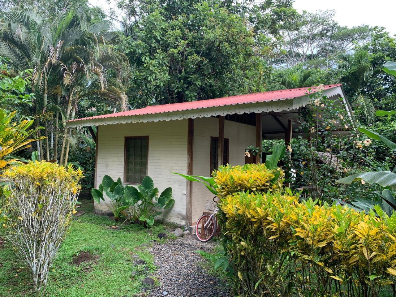 Luna Caribena Village Puerto Viejo de Talamanca Extérieur photo