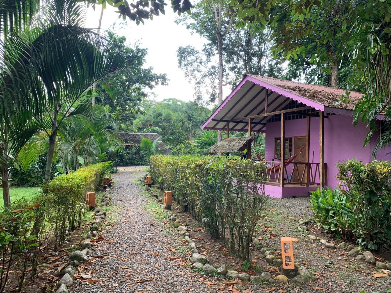 Luna Caribena Village Puerto Viejo de Talamanca Extérieur photo