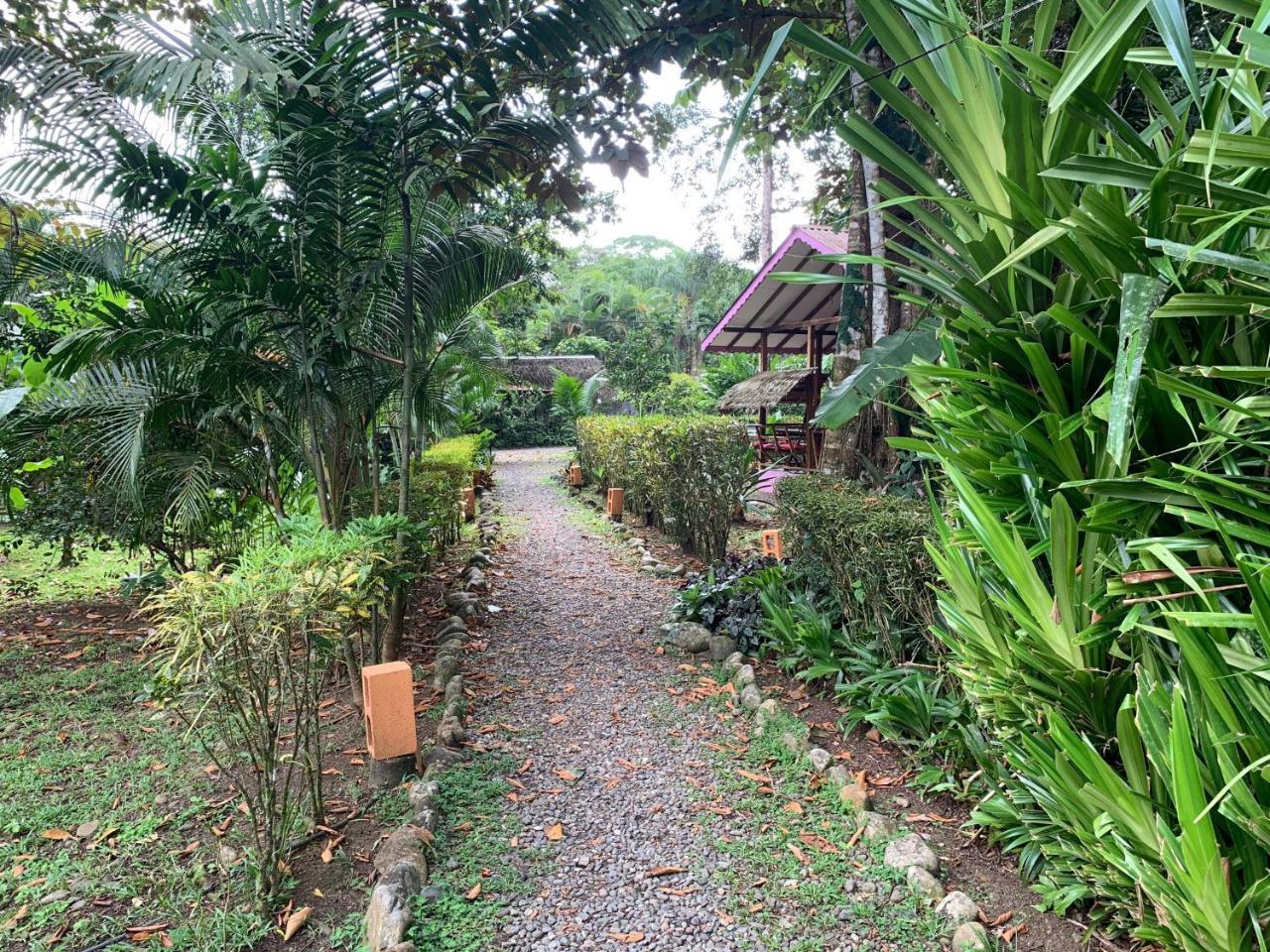 Luna Caribena Village Puerto Viejo de Talamanca Extérieur photo