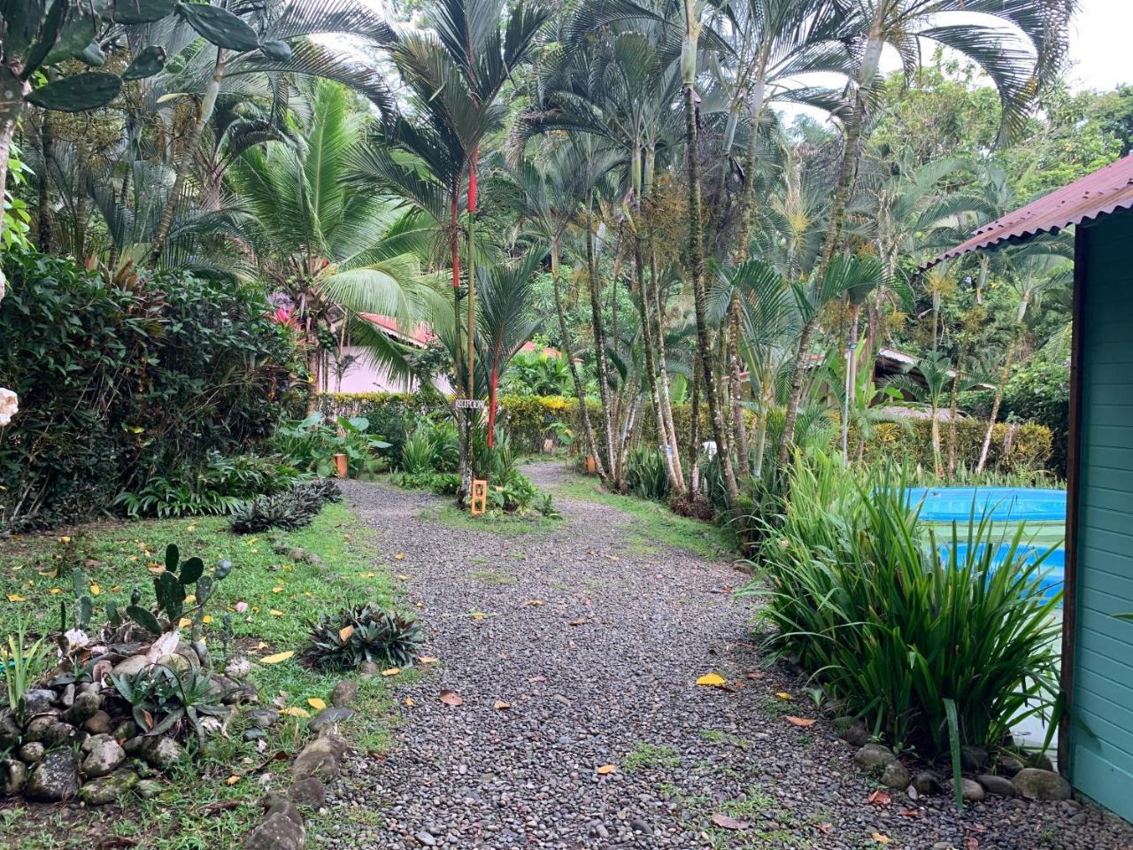 Luna Caribena Village Puerto Viejo de Talamanca Extérieur photo