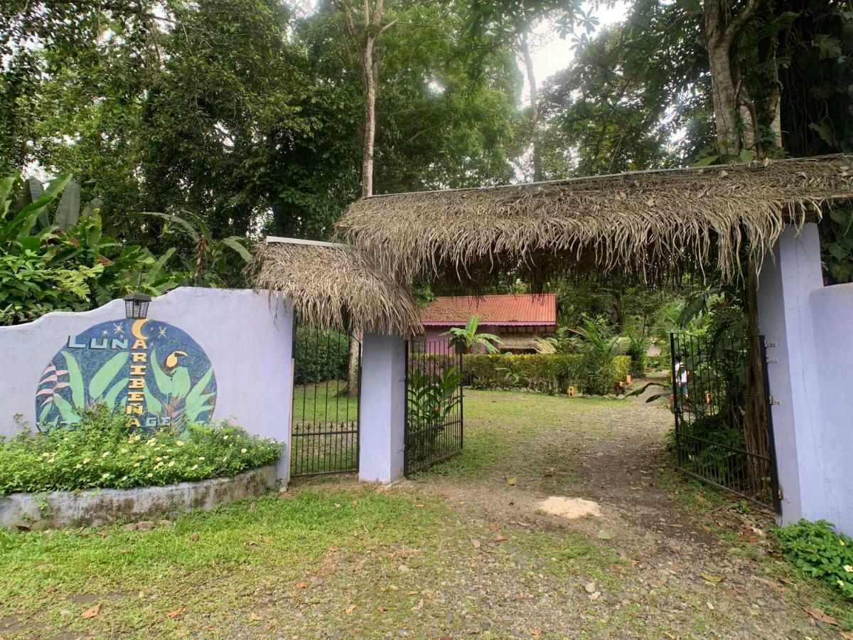 Luna Caribena Village Puerto Viejo de Talamanca Extérieur photo