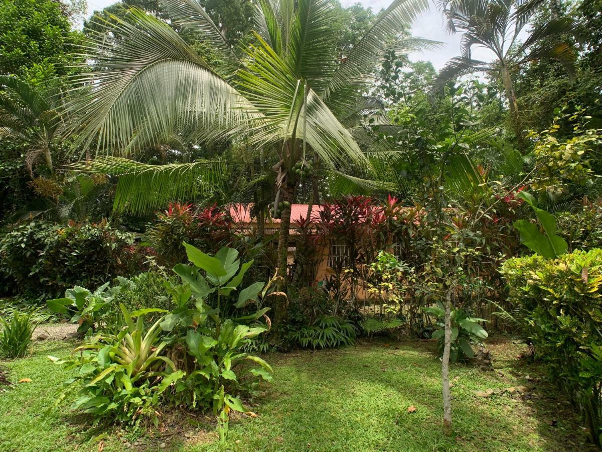 Luna Caribena Village Puerto Viejo de Talamanca Extérieur photo