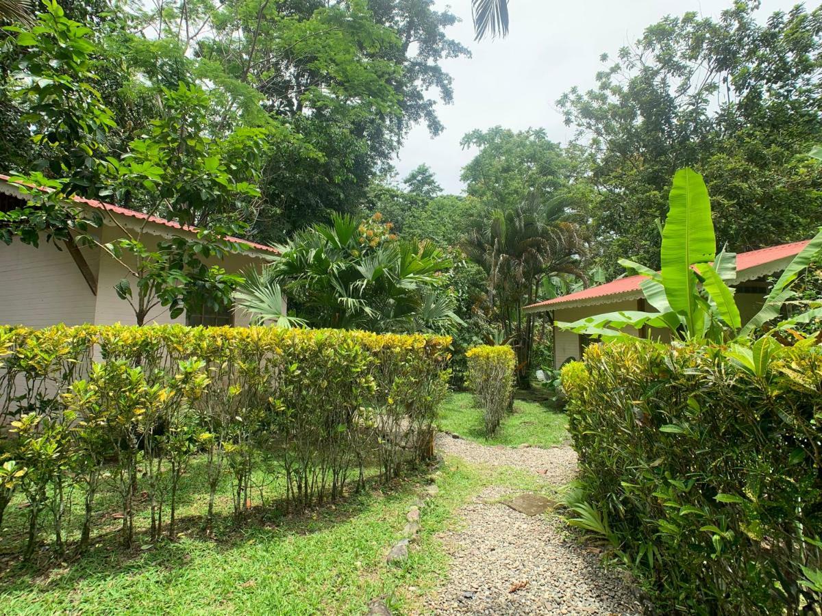 Luna Caribena Village Puerto Viejo de Talamanca Extérieur photo